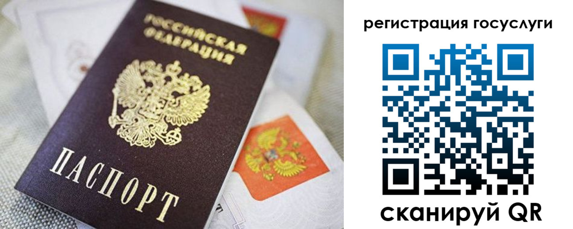 прописка паспорт в Сухиничи